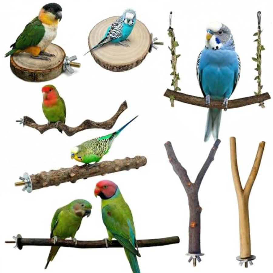 Health & Wellness Unit - 8PCS natural wood bird perches for