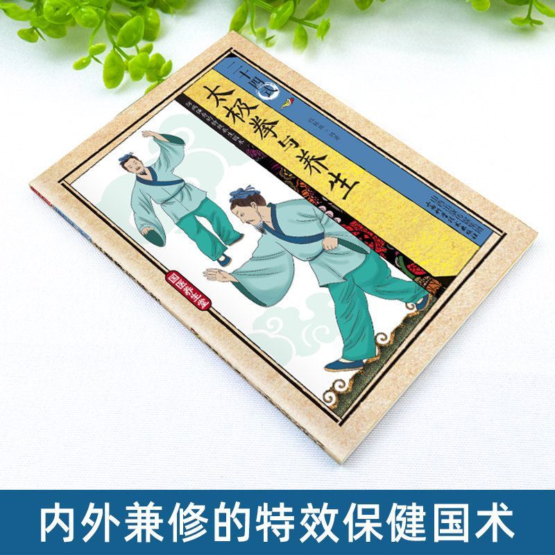 24 Style Tai Chi and Health Ex - Health & Wellness Unit review and price