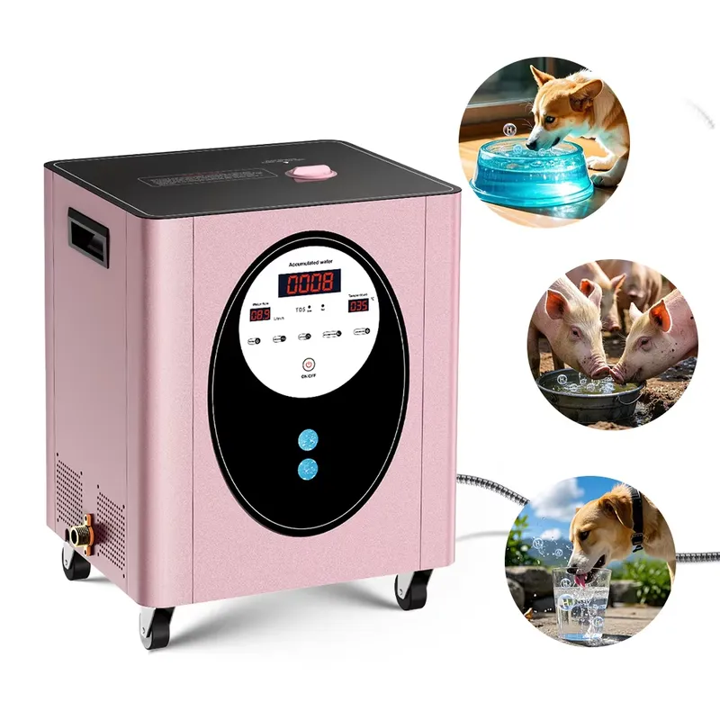 Suyzeko Biohacking Longevity W - Health Wellness Longevity review and price