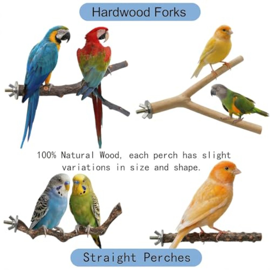 8PCS natural wood bird perches - Health & Wellness Unit review and price